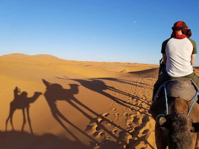 Camel Ride